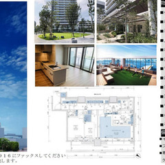 有明新築未入居マンション　プレミアムタイプ　国際展示場 徒歩１３分