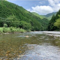 鮎の友釣りをしませんか？