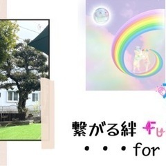 一緒に働く仲間を募集中！本気な方のみ！の画像