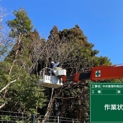 草刈りや剪定の片付けの仕事です。の画像