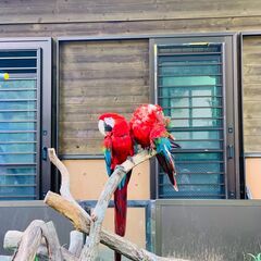 多摩動物園の旅を振り返る - チャット