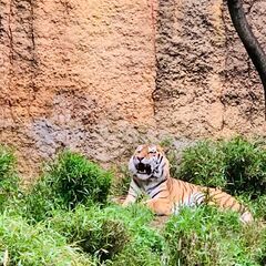 多摩動物園の旅を振り返る − 東京都