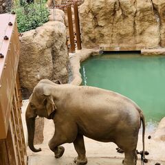 多摩動物園の旅を振り返る - メンバー募集