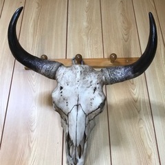 実物大の陶器製のカウルスカルヘッド٩( ᐛ )و