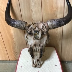 実物大の陶器製のカウルスカルヘッド٩( ᐛ )وの画像