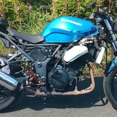 ニンジャ250R　ネイキッド仕様　(1663)