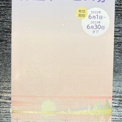 JR東日本　株主優待券2枚&株主サービス券の画像