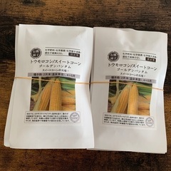 野口の種　有機種子　とうもろこし　ゴールデンバンタム　9袋