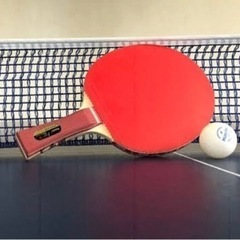 【卓球】知多半島で卓球仲間募集中！