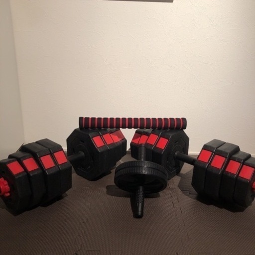 ダンベル　20kg×2（オマケで腹筋ローラー付き）