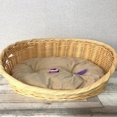 猫グッズ電池式虫おもちゃとバスケットベッドのセット。