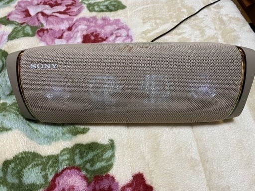 【ジャンク品】SONY SRSXB43
