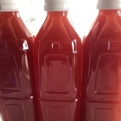 ☆ PSB (光合成細菌) 900ml ☆メダカ飼育に☆の画像
