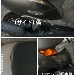 DIO チェスタ　【商談中】の画像