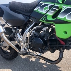 Kawasaki KSR110 2004年式の画像