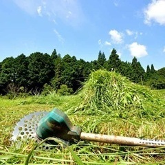 草刈りなんなりと