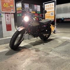 ヤマハ TW200の画像
