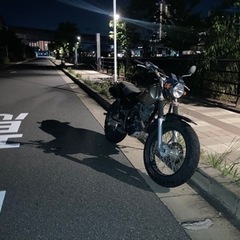 ヤマハ TW200の画像