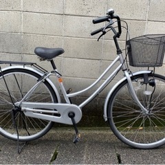 サマーセール。ハリツルマサキ(マッコウ) マッコウ（和名：ハリツルマサキ）