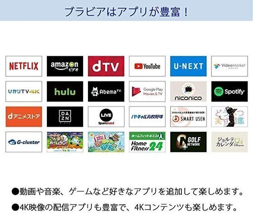 SONY BRAVIA 43型4Kテレビ (2019 購入)