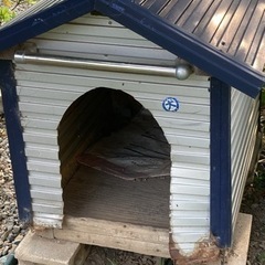 犬小屋1