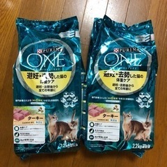 ピュリナワン（ターキー味）　猫のご飯