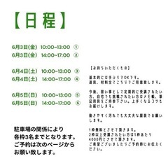 モルタル造形無料体験会・見学会開催！の画像
