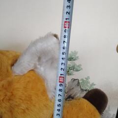 大きなキツネのぬいぐるみの画像