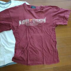 3枚　Ｌ2枚、M１枚の画像