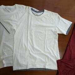 3枚　Ｌ2枚、M１枚の画像