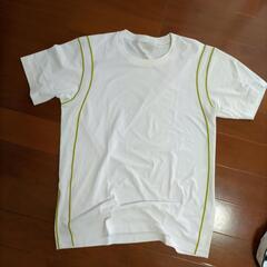 3枚　Ｌ2枚、M１枚の画像