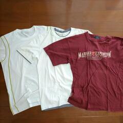 3枚　Ｌ2枚、M１枚