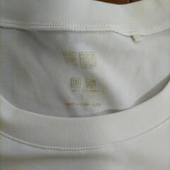 3枚　Ｌ2枚、M１枚の画像