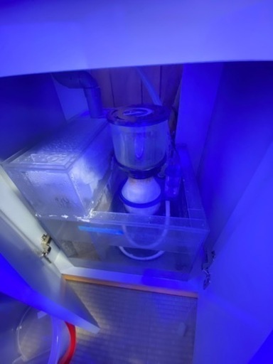 水槽用品、生体など