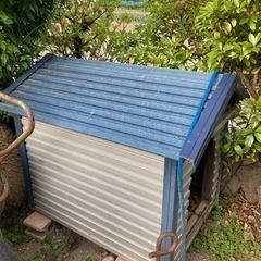 犬小屋2