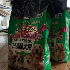 犬のエサ