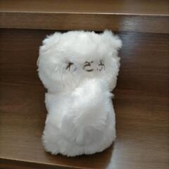★ブサカワわさお君★の画像