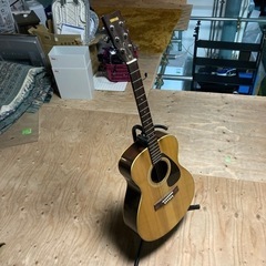 ● YAMAHA、アコースティックギター
