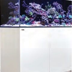 reefer 350 リーファー　レッドシー  Redsea 水...