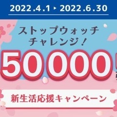 うわ…この車安すぎ…！？　日産モコの画像