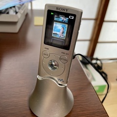 ソニー ウォークマン NW-E053 完動品の画像