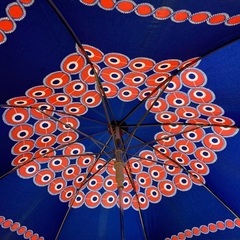 ワンタッチ傘2本の画像