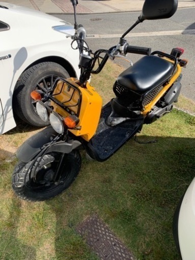 【大人気】黄色のズーマー！快調に走ります！