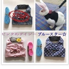 手渡し価格！ウサギちゃん　お散歩ハーネス　SサイズとMサイズの画像