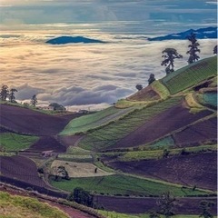 C E R R O  P A S Q U I  Cartago Costa Rica カルタゴコスタリカの画像