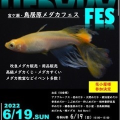 6/19宮ヶ瀬・鳥居原メダカフェス開催！
