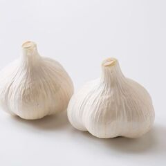 生にんにく土付き予約販売