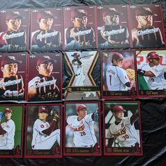 楽天イーグルス カード 2017年 14枚セット