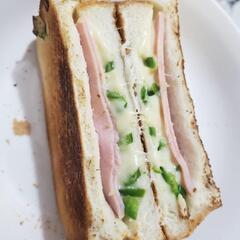 引っ越したばかりなので友達募集