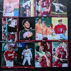 楽天イーグルス ポストカードサイズ写真 岡島豪郎 37枚セット